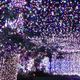 Illustration for article titled This Blinding 502,165 Christmas Light Display Is in Someones Home